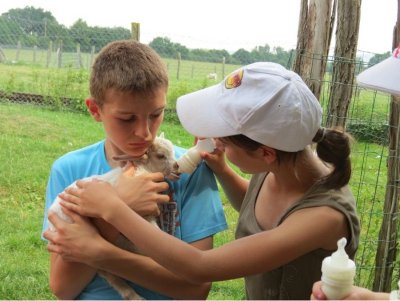 L'Arche de Noë - Ferme pédagogique