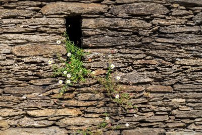 Trail des Roches de Scoeux
