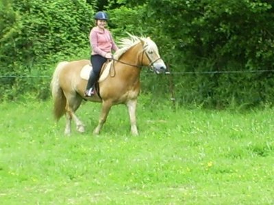 Centre Équestre de la Chapelle-Cécelin