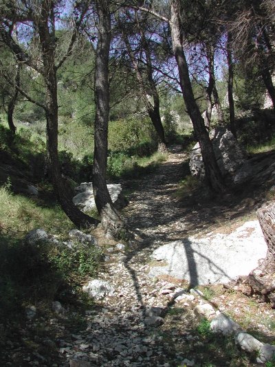 Sentier de découverte : De la font aux pigeons au puits de barbe