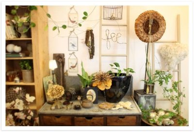 Destin d'une brindille