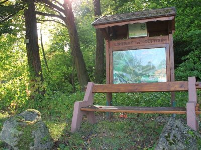 Forêt communale de Zetting