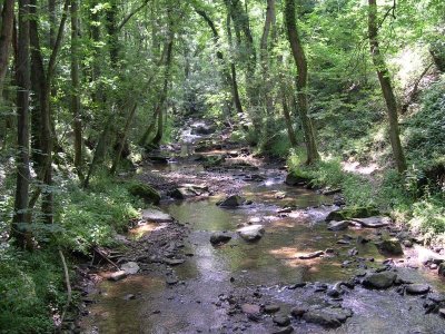 Affleurement de quartzites de Sierck-les-Bains