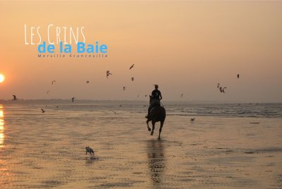 Les Crins de la Baie