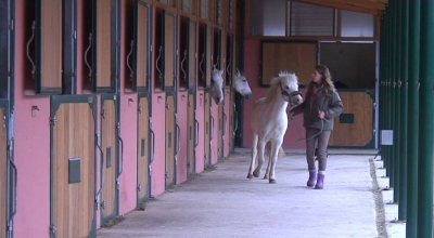 Club Hippique de Nice