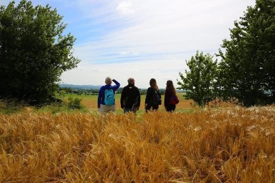 Circuit des Huchiers