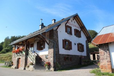 Balade auberge Molkenrain : à l'ombre des hêtres de pâturage