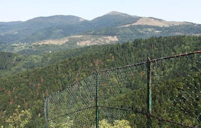 Les chaumes du Molkenrain