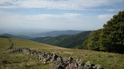 Le massif du Rossberg