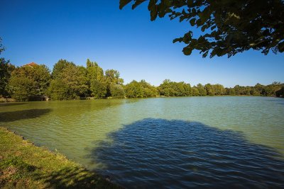 Étang de Saint-Martin