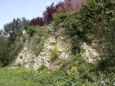 Les Coteaux calcaires