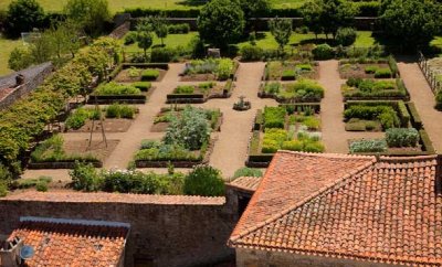 Jardin d'inspiration médiévale