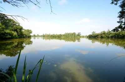 L'étang de la Sablière