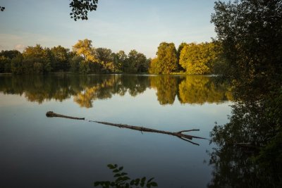 Le Bois de la Pigarnière