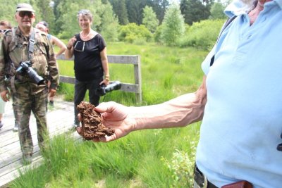 Itinéraire raquettes - La Schlitte (4)