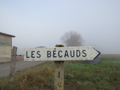 Balade sur la Plaine des Courlis