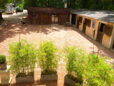 Écurie de la Closerie