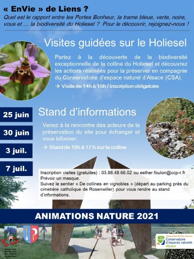 Sentier découverte de collines en vignobles