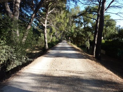 La promenade des Annamites