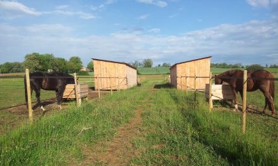 LES ECURIES DU BARRAIL