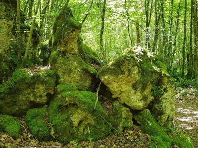 La boucle des truffières à St Jory Lasbloux