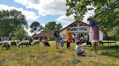 Ecomusée de Marquèze