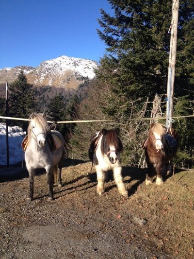 CENTRE ÉQUESTRE ÉQUI BOUTX