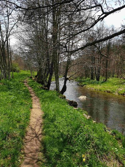 Balade le long du Lignon