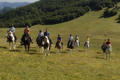 Vercors à Cheval