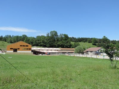 La Ferme équestre des 4 chemins