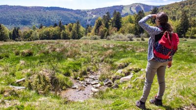 Circuit rando CDF04 : La chaume des Veaux