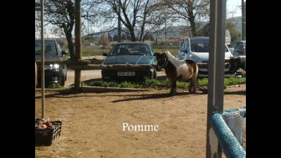 Poney Ranch de La Crau