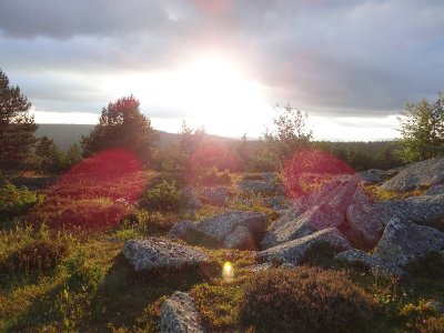 LE ROC DES CHIENS FOUS