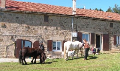 Le Chevalier d'Agrévois