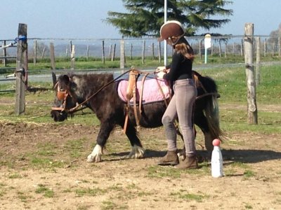 Centre Équestre Au Galop