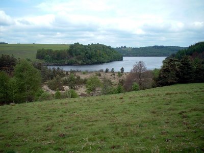Tourbière de l'Espinassou
