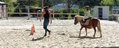 Poney Club de l'Etang