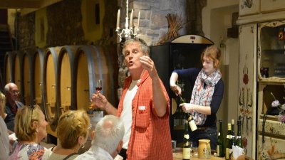 Circuit rando - du Sommerberg au château du Wineck