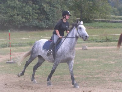FERME ÉQUESTRE LE P'TIT RANCH
