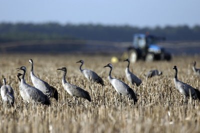 Observatoire de Lencouacq