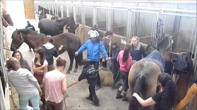 Centre équestre poney club de Champlong