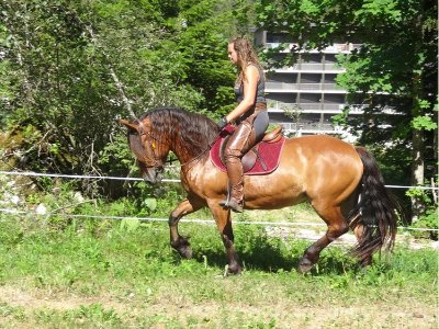 Écuries de Corrençon