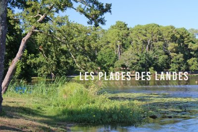 Plage du Lac Marin La Sauvagine