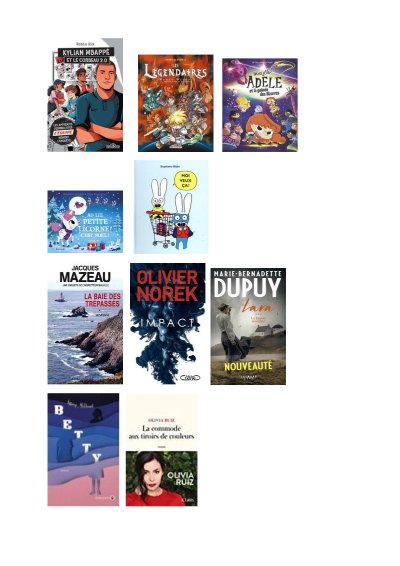 Bibliothèque de Misérieux