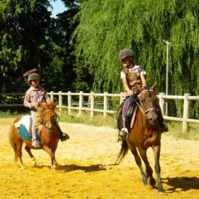 Centre Equestre d'Avignon