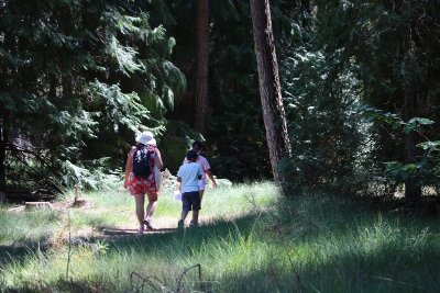 Sentier d'interprétation du Lac des Bruyères