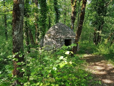 Circuit VTT Naturellement Périgord n°5 noir