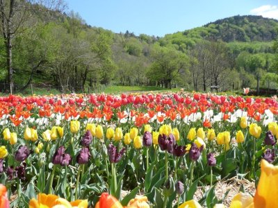 FERME-JARDIN CÉVENOLE