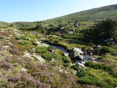 COMBES DES SOURCES DU TARN
