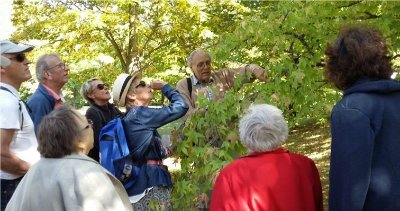 OENORANDO® NATURE ET CULTURE À FAUGÈRES